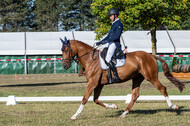 Kronenberg - De Peelbergen (August 2020)