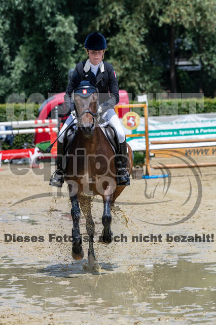 Goldene Schärpe 2021 - Ponys