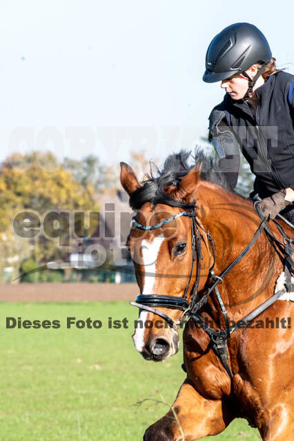 Vielseitigkeitslehrgang mit Jürg Kurbel (9.+10.11.2019)