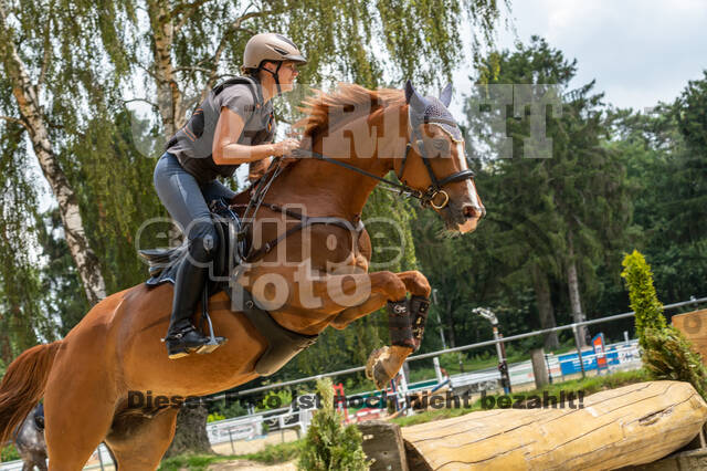 Hunter Geländetraining 10.07.2021 (Sonsbeck)