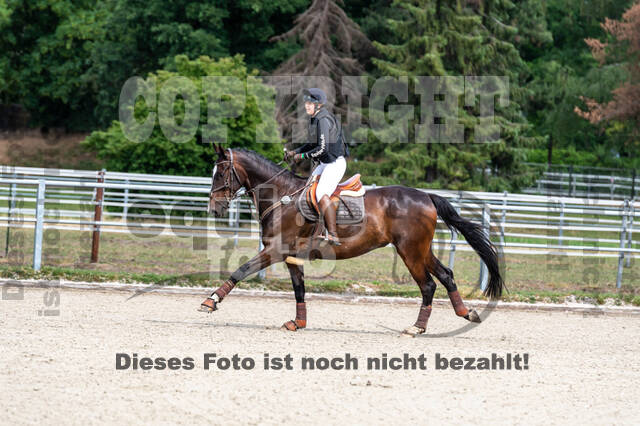 Late-Entry-Vielseitigkeit Langenfeld (11.+13./14.06.2020)