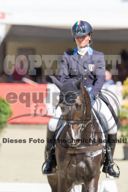 FEI European Championship