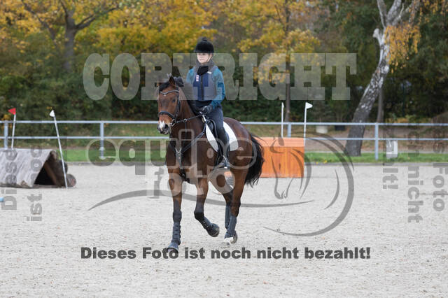 IGV Lehrgang der Sieger der Cups mit Frank Ostholt