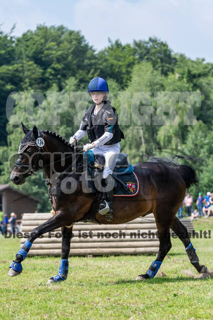 Goldene Schärpe 2021 - Ponys