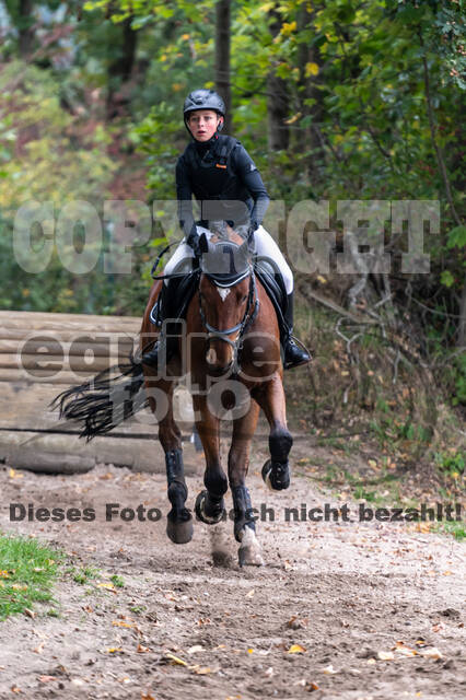 Goldene Schärpe 2020 - Pferde