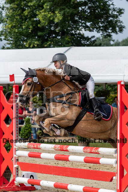 Goldene Schärpe 2021 - Ponys