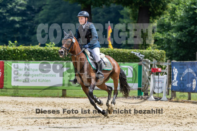 Goldene Schärpe 2021 - Ponys