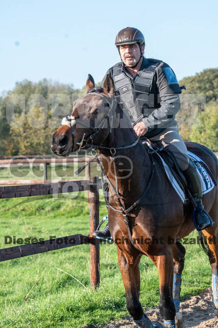 Vielseitigkeitslehrgang mit Jürg Kurbel (9.+10.11.2019)
