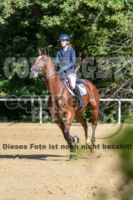 RFV Dinslaken-Hiesfeld (Herbstturnier)