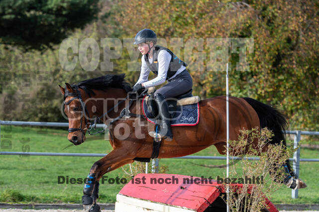 IGV Lehrgang der Sieger der Cups mit Frank Ostholt