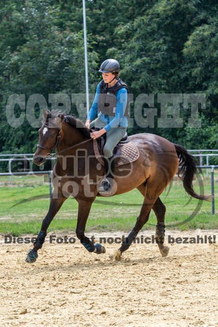 Hunter Geländetraining 10.07.2021 (Sonsbeck)