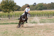IGV Kleve