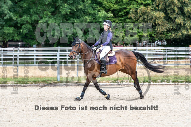 Late-Entry-Vielseitigkeit Langenfeld (11.+13./14.06.2020)