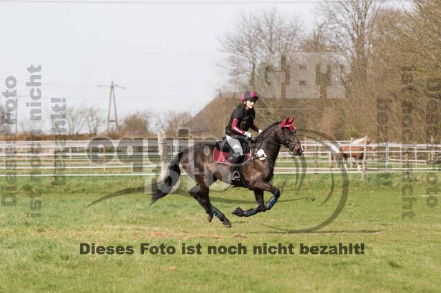 Frühjahrsvielseitigkeit RV Seydlitz Kamp