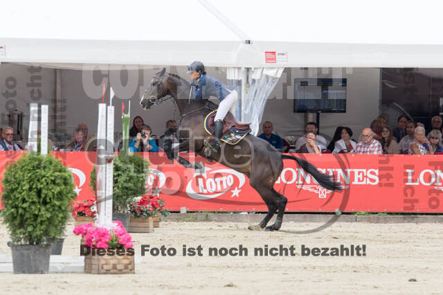 FEI European Championship