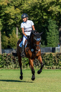 Kronenberg - De Peelbergen (August 2020)