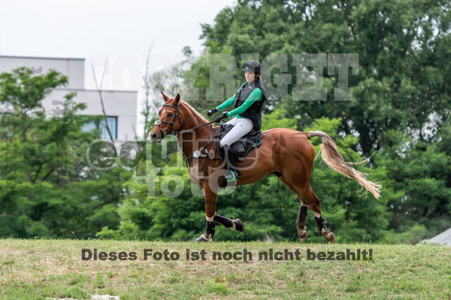 Late-Entry-Vielseitigkeit Langenfeld (11.+13./14.06.2020)