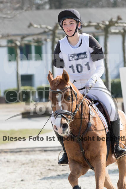 Eventing Langenfeld 2018
