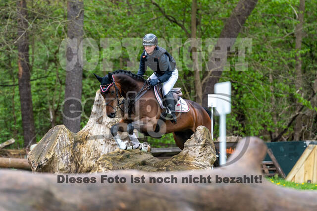 Geländepferdetag beim ZRFV von Lützow Hamminkeln (08.05.2021)
