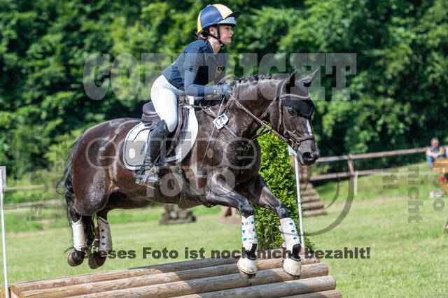 Goldene Schärpe 2021 - Ponys