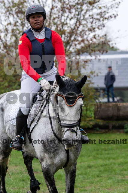 Goldene Schärpe 2020 - Pferde