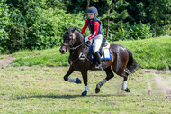Goldene Schärpe 2021 - Ponys