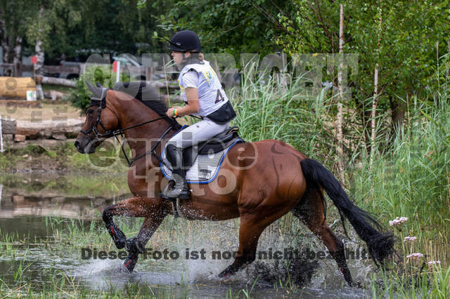 Late-Entry Vielseitigkeit Hamminkeln/Wesel (01.+02.08.2020)