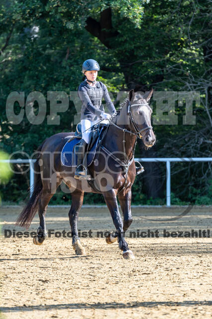 RFV Dinslaken-Hiesfeld (Herbstturnier)
