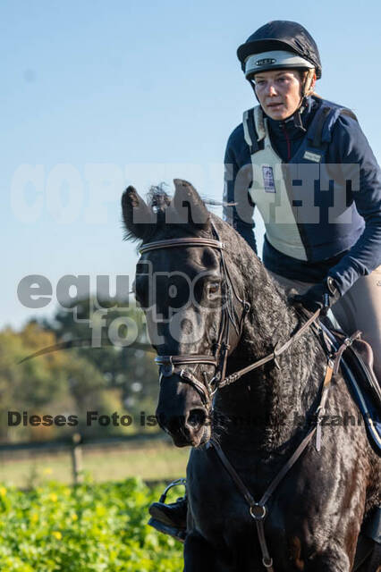 Vielseitigkeitslehrgang mit Jürg Kurbel (9.+10.11.2019)