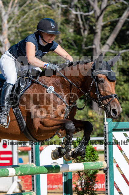 RFV Dinslaken-Hiesfeld (Herbstturnier)