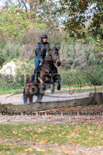IGV Lehrgang der Sieger der Cups mit Frank Ostholt