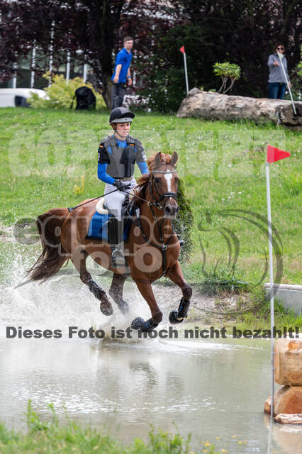 Late-Entry-Vielseitigkeit Langenfeld (06.+07.07.2020)