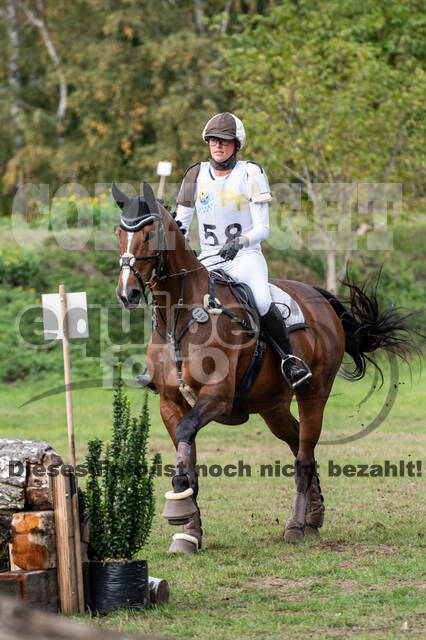 Vielseitigkeit RSV Wesel Obrighoven (26.+27.09.2020)