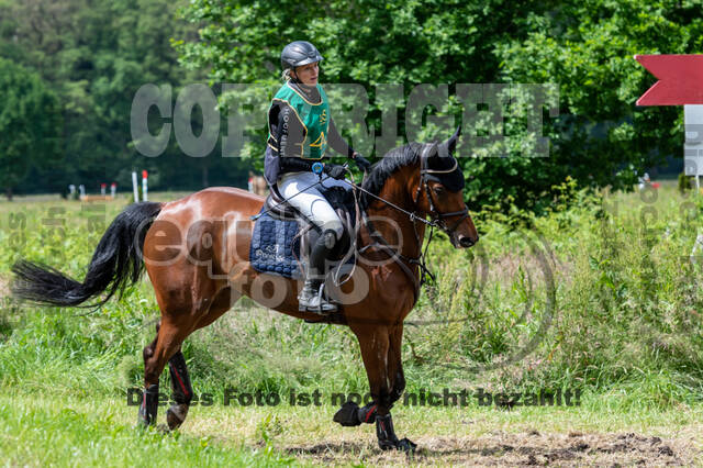 Westerstede Horse Trials (10.-13.06.2021)