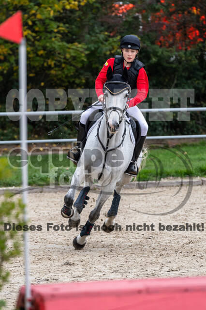 Goldene Schärpe 2020 - Pferde