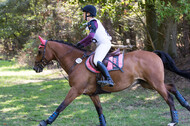 Vielseitigkeitsturnier RSV St. Hubertus Wesel Obrighoven