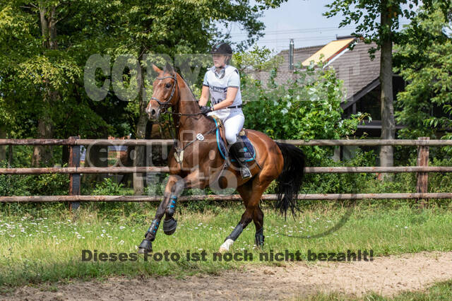 Late-Entry-Vielseitigkeit Gahlen (18.07.2020)