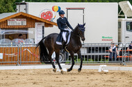 Westerstede Horse Trials 2021