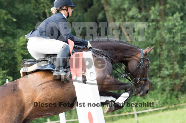 Vielseitigkeitsturnier Bad Honnef