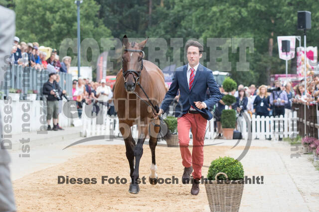 FEI European Championship Eventing 2019