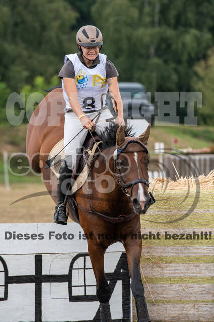 Late-Entry Vielseitigkeit Hamminkeln/Wesel (01.+02.08.2020)