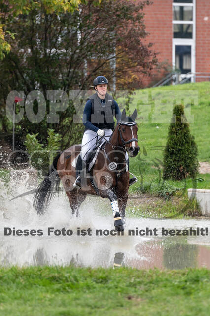 Goldene Schärpe 2020 - Pferde