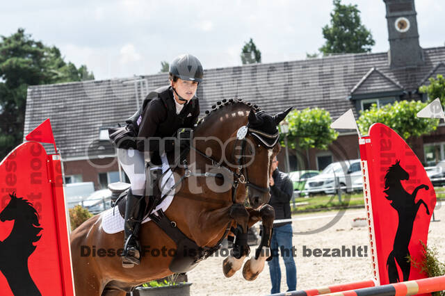 Late-Entry-Vielseitigkeit Langenfeld (06.+07.07.2020)