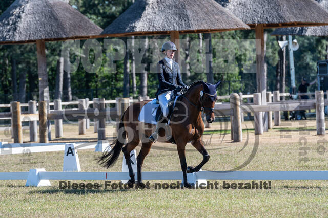 Kronenberg - De Peelbergen (August 2020)