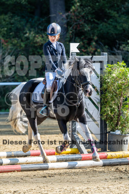 RFV Dinslaken-Hiesfeld (Herbstturnier)