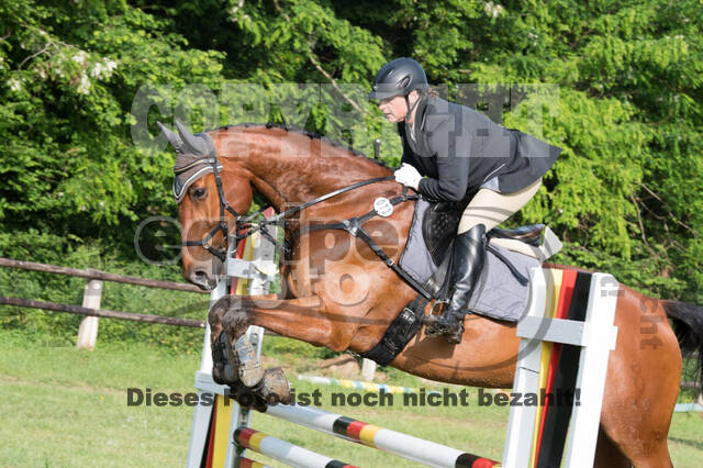 Vielseitigkeitsturnier ZRuFV von Lützow Hamminkeln