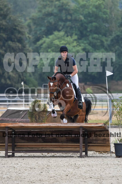 Late-Entry-Vielseitigkeit Langenfeld (11.+13./14.06.2020)