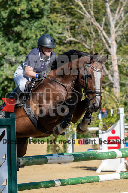 RFV Dinslaken-Hiesfeld (Herbstturnier)