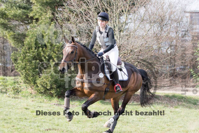 Late-Entry Langenfeld