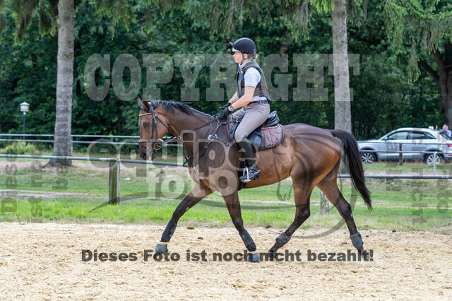 Hunter Geländetraining 10.07.2021 (Sonsbeck)